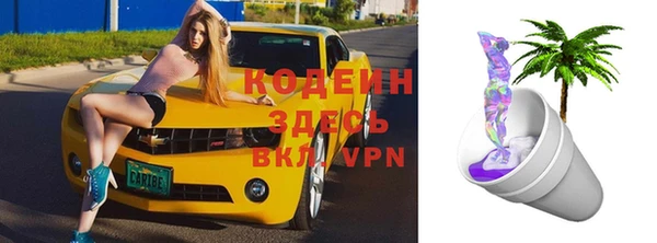 дурь Каменка