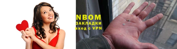 гашик Каменногорск