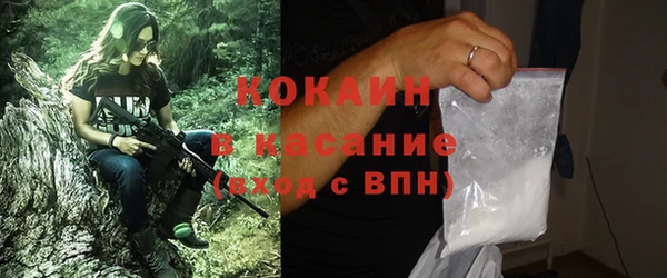 гашик Каменногорск