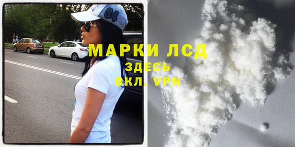 гашик Каменногорск