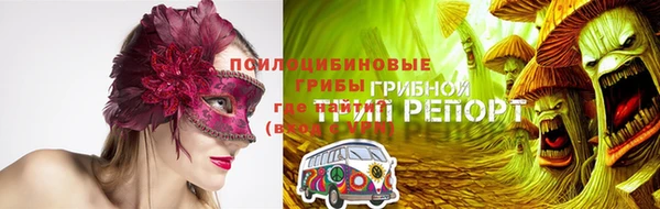 гашик Каменногорск
