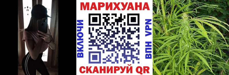 Бошки марихуана THC 21%  Купить  Верхняя Пышма 